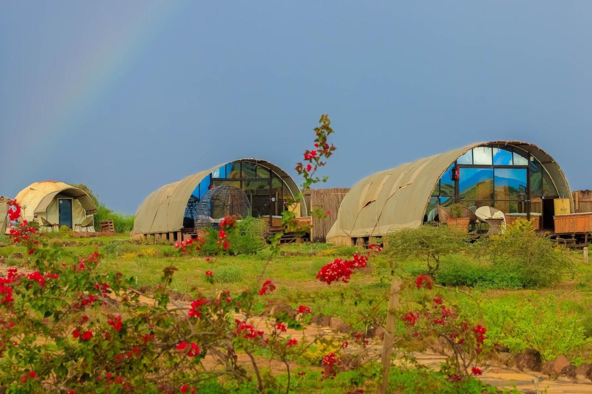 Little Amanya Camp Otel Amboseli Dış mekan fotoğraf